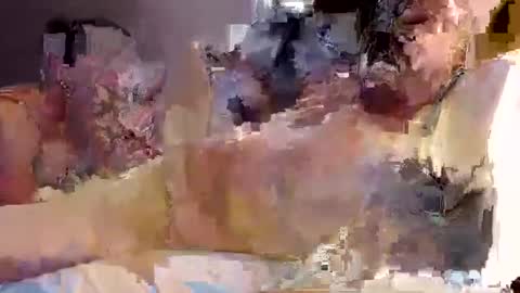 trojanswingers online show from 02-11-25, 05:29