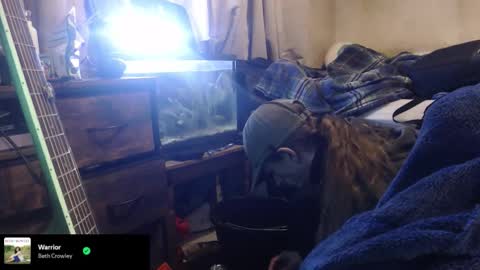 trooper0690 online show from 02-12-26, 06:14