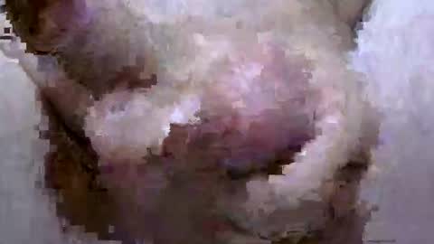 troy1965 online show from 04-28-26, 05:45