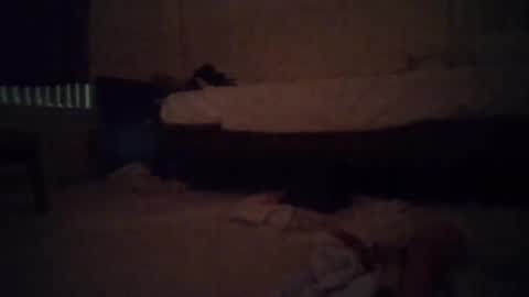 tsgoddessdani online show from 05-13-26, 08:34