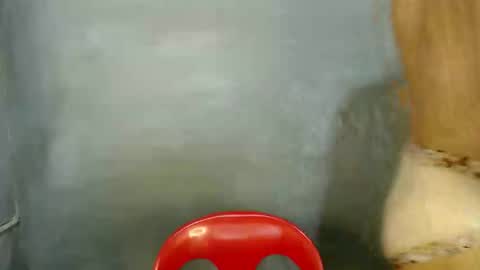 Paulyn online show from 01-07-26, 05:54