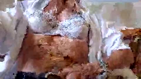 Snapshot of tubaist chatting on 09-09-25, 12:59 FINN but call me NANNA online show from 09-09-25, 12:59