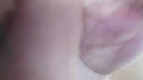 Tuistwer online show from 06-01-26, 05:53