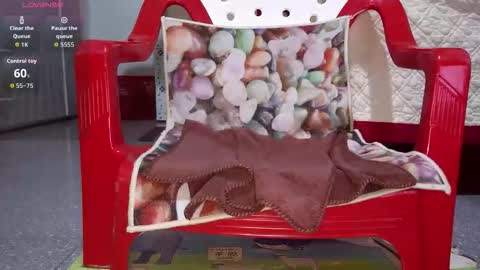 tulip_sexxy online show from 09-26-25, 12:03