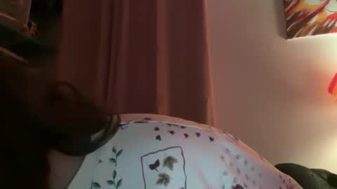 Tulip online show from 02-02-26, 04:00