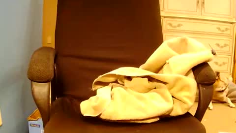 Turnmetrans online show from 03-17-26, 09:51