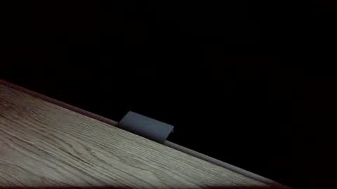 tvstefanie1 online show from 12-01-24, 08:42