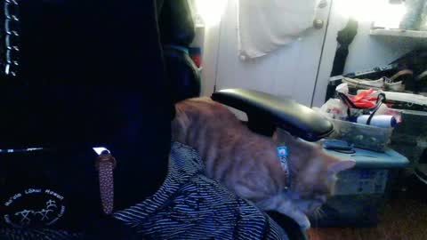 TwackedNTatted online show from 12-12-24, 07:37