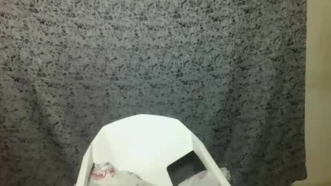 Snapshot of twerker_lyly chatting on 10-07-25, 07:00 twerker_lyly online show from 10-07-25, 07:00