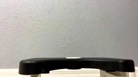 Snapshot of twetcock chatting on 02-06-25, 12:00 twetcock online show from 02-06-25, 12:00