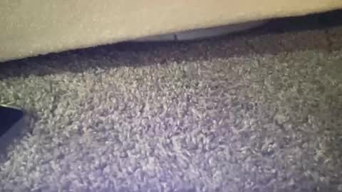 twinkgabe online show from 02-16-26, 04:03