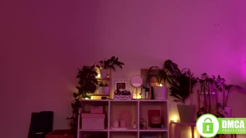 Stranger online show from 12-28-24, 08:04