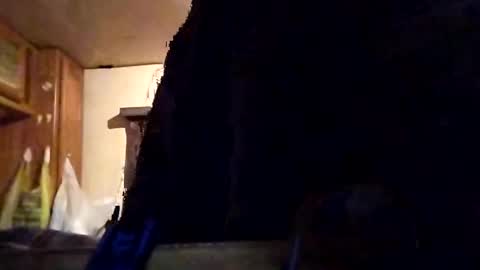 Snapshot of twiztidleeanna69 chatting on 02-01-25, 12:05 Tintilizing Excitement online show from 02-01-25, 12:05