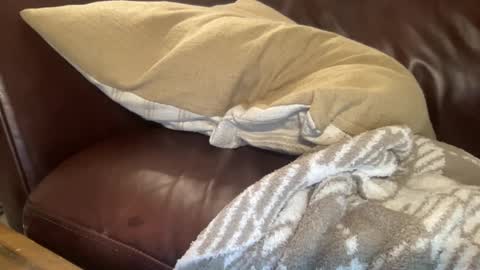 ty223222 online show from 02-06-25, 10:37