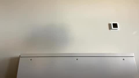 Snapshot of tylercameron28 chatting on 09-21-25, 06:09 TylerC online show from 09-21-25, 06:09