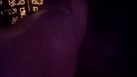 tylerdowell10111 online show from 04-15-26, 11:50