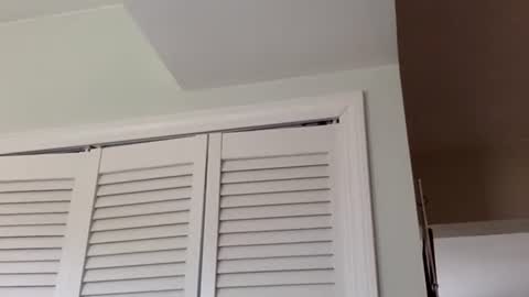 Tyler Durden online show from 03-01-25, 03:38