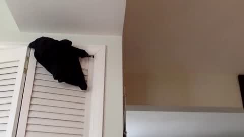 Tyler Durden online show from 03-02-25, 01:38