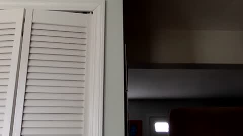 Tyler Durden online show from 03-02-25, 07:45