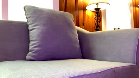 Snapshot of tylersands chatting on 02-07-25, 02:58 Tyler Sands online show from 02-07-25, 02:58