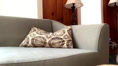 Snapshot of tylersands chatting on 02-11-25, 02:46 Tyler Sands online show from 02-11-25, 02:46