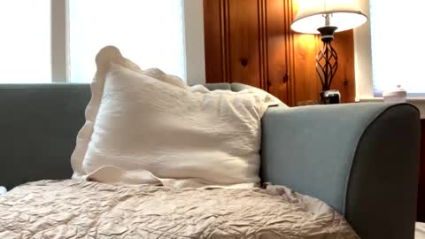 Snapshot of tylersands chatting on 02-16-25, 02:21 Tyler Sands online show from 02-16-25, 02:21