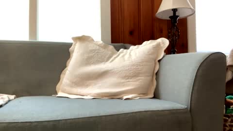 Snapshot of tylersands chatting on 03-02-25, 03:05 Tyler Sands online show from 03-02-25, 03:05