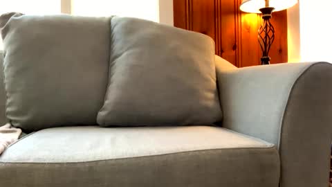 Snapshot of tylersands chatting on 03-07-25, 03:49 Tyler Sands online show from 03-07-25, 03:49