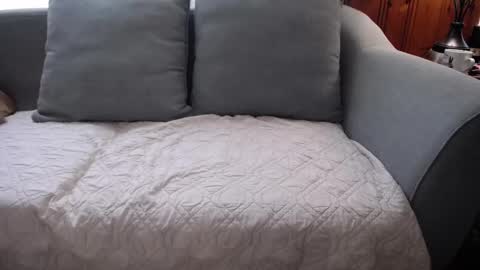 Snapshot of tylersands chatting on 10-19-25, 01:45 Tyler Sands online show from 10-19-25, 01:45