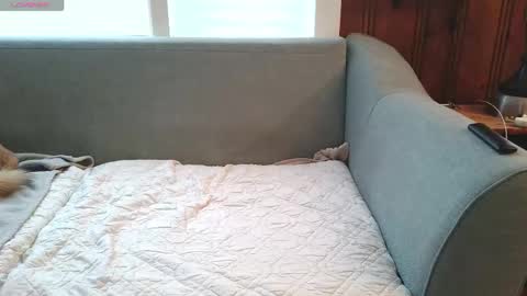 Snapshot of tylersands chatting on 12-16-25, 12:54 Tyler Sands online show from 12-16-25, 12:54