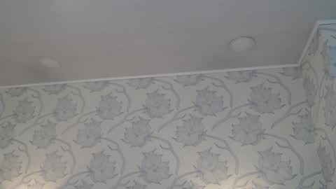 Snapshot of tyrafox_ chatting on 12-05-25, 11:19 tyrafox online show from 12-05-25, 11:19