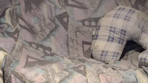 Helena and Tyson online show from 02-02-25, 04:05