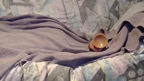 Helena and Tyson online show from 09-21-25, 03:41