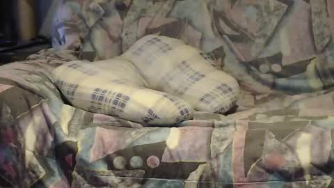 Helena and Tyson online show from 04-25-26, 02:03