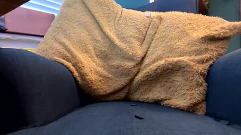 Snapshot of ukclive chatting on 02-05-25, 01:22 ukclive online show from 02-05-25, 01:22