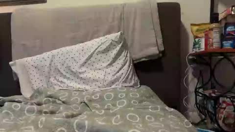 Snapshot of unverifiedbwc chatting on 03-07-25, 08:55 Stepbro online show from 03-07-25, 08:55