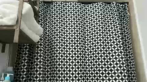 Snapshot of unverifiedbwc chatting on 12-02-25, 10:49 Stepbro online show from 12-02-25, 10:49