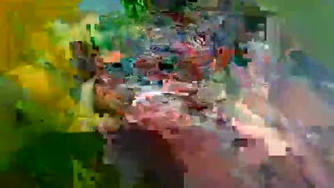 ur_zaddy4now online show from 01-24-25, 11:37