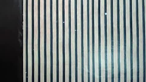 Jane online show from 02-10-25, 11:57