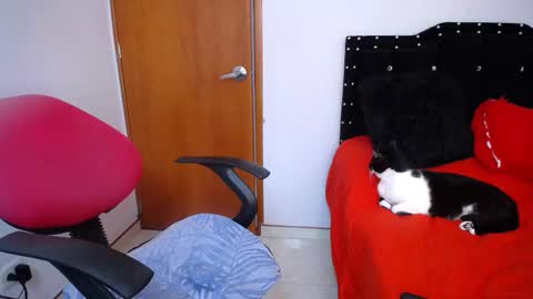 Snapshot of ursulawhite69 chatting on 02-18-25, 05:53 Eveling Blanco online show from 02-18-25, 05:53