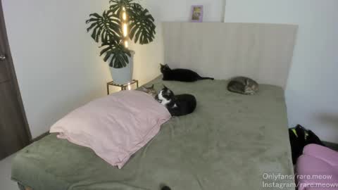    online show from 04-24-26, 10:56