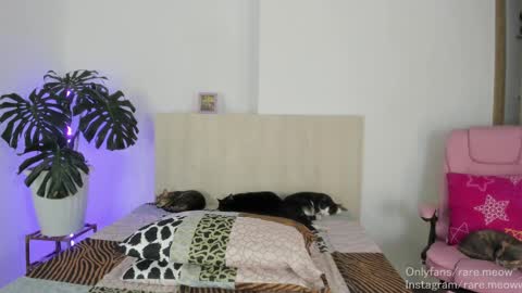    online show from 04-28-26, 01:15