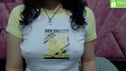 Snapshot of vainilla_cam chatting on 01-20-25, 01:50 Vainilla online show from 01-20-25, 01:50