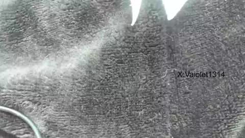 Snapshot of vaioletuwu chatting on 01-26-25, 03:58 Vaiolet1314 online show from 01-26-25, 03:58