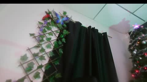 Valery online show from 12-16-24, 08:41