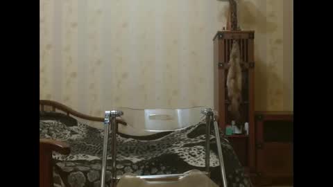 Snapshot of valenttijm3851 chatting on 04-17-26, 06:22 valentijm online show from 04-17-26, 06:22