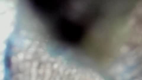 valeri_tafur online show from 10-13-25, 10:59