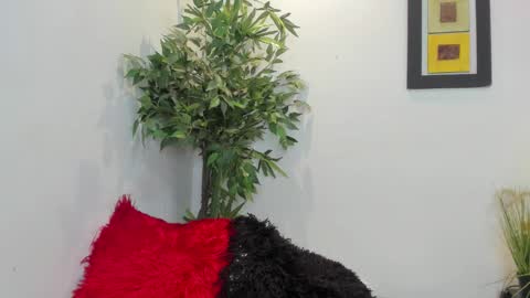 Snapshot of valeri_tafur chatting on 11-12-25, 12:33 valeri_tafur online show from 11-12-25, 12:33