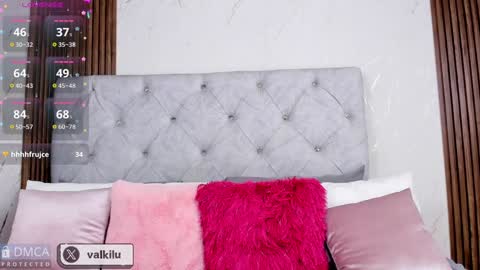 Snapshot of valkilu11 chatting on 01-30-25, 01:33 valkilu11 online show from 01-30-25, 01:33