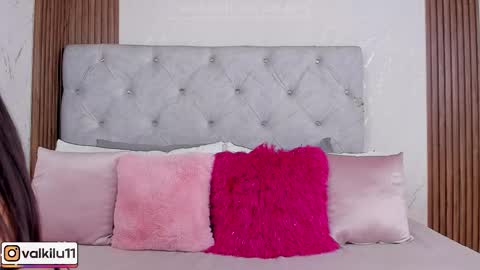 Snapshot of valkilu11 chatting on 02-17-26, 12:07 valkilu11 online show from 02-17-26, 12:07